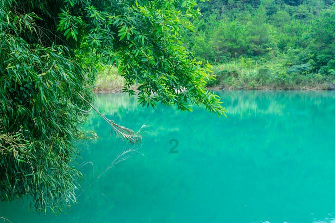虫虫助手下载