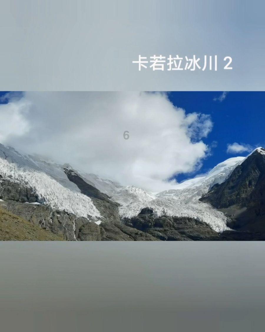小艾比当营养师