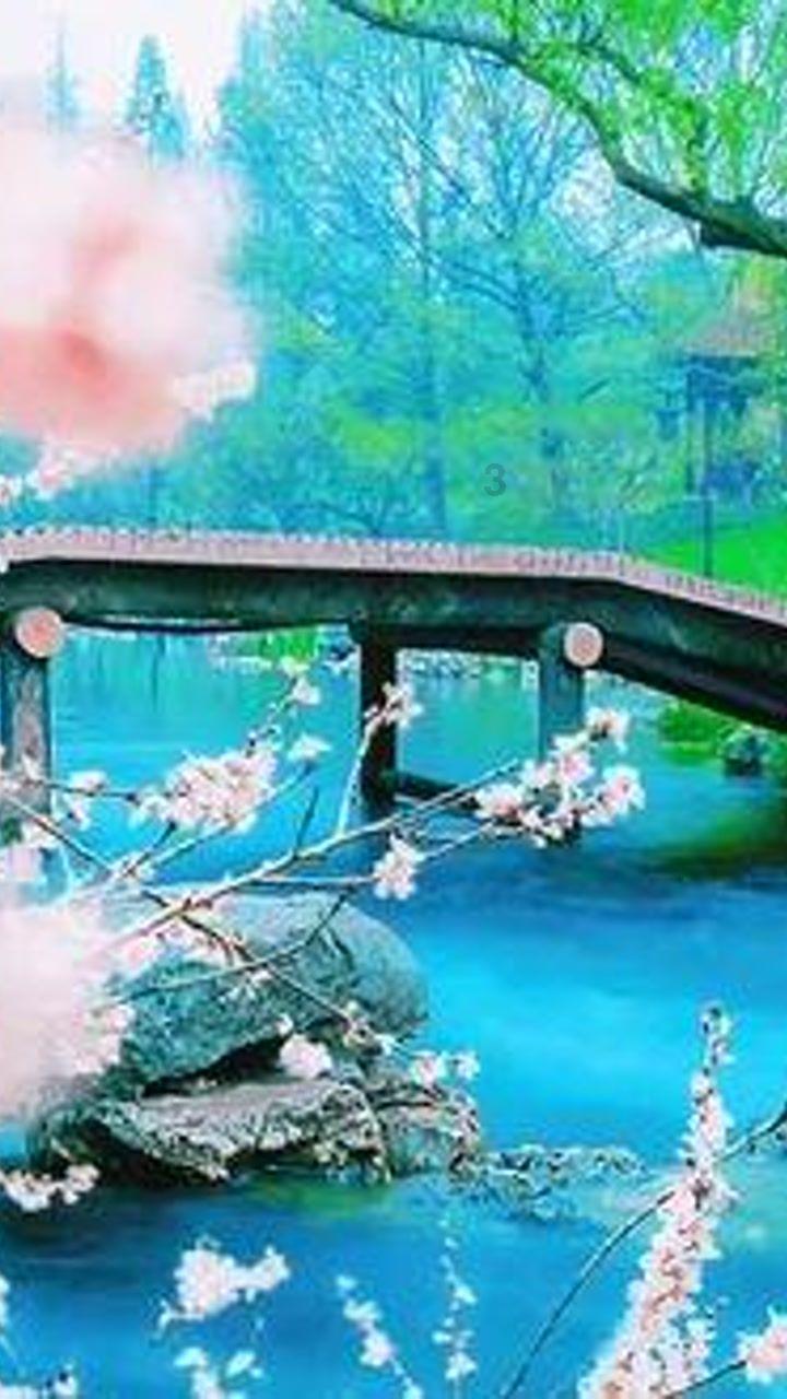 全民烧脑3去广告版
